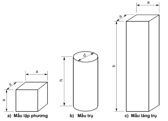 Hình minh họa 1