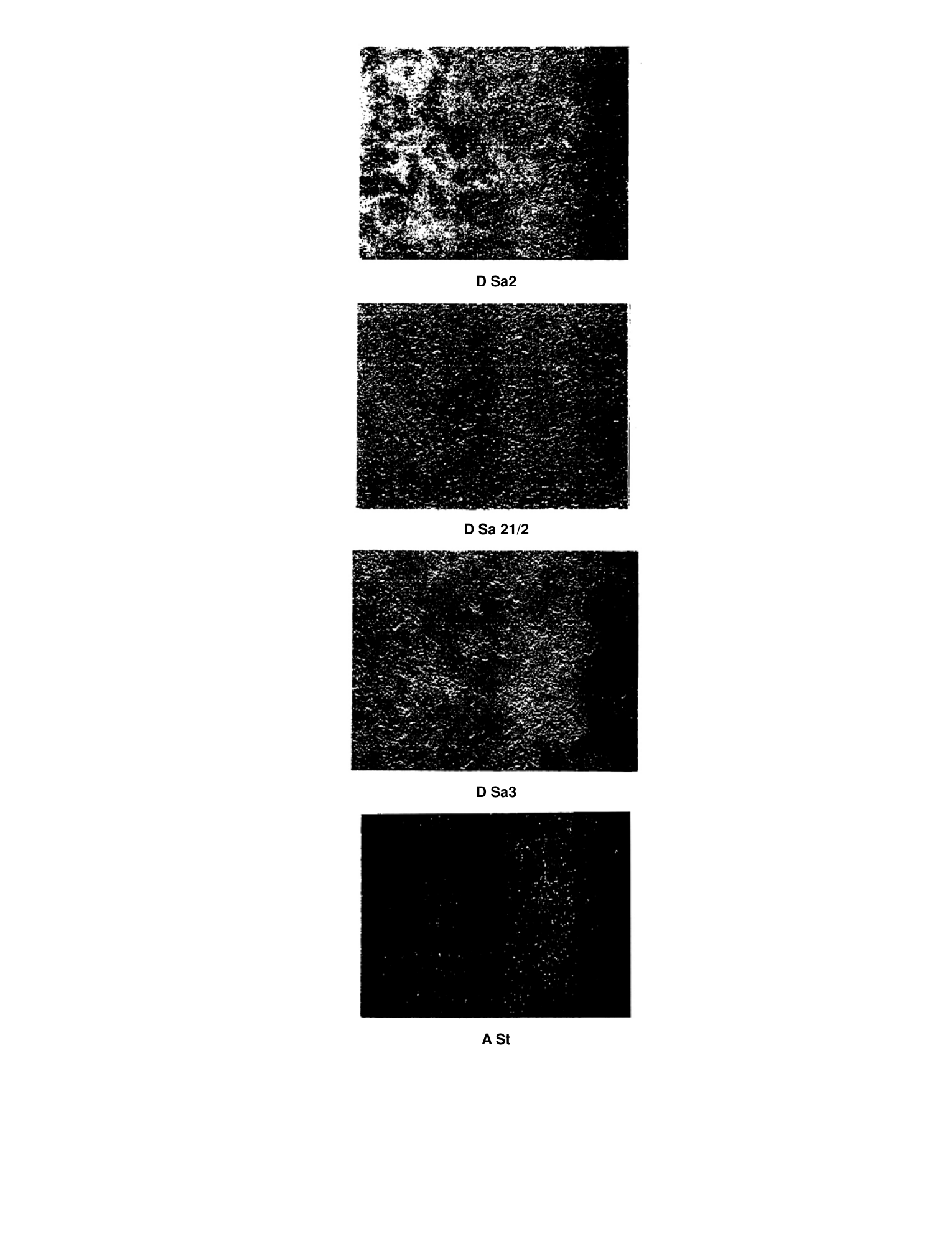 TCVN 8790:2011 — trang PDF 13