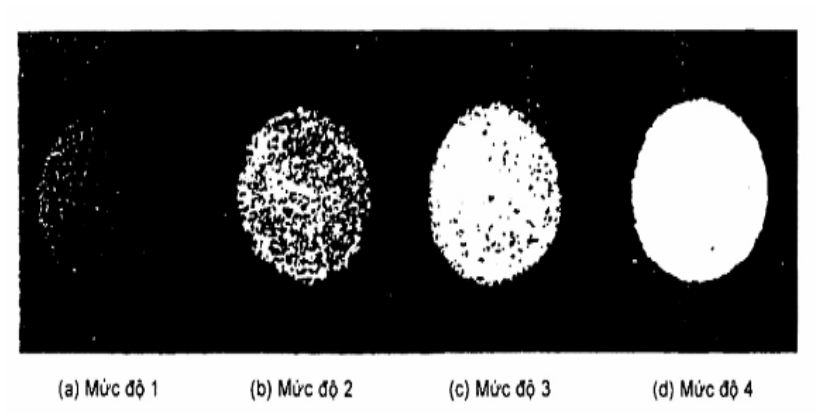 Vùng công thức, bảng hoặc hình trong PDF — trang 2, phần 1