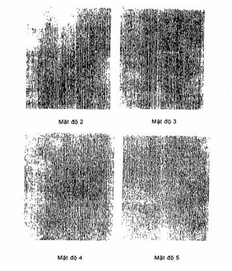 Vùng công thức, bảng hoặc hình trong PDF — trang 2, phần 1