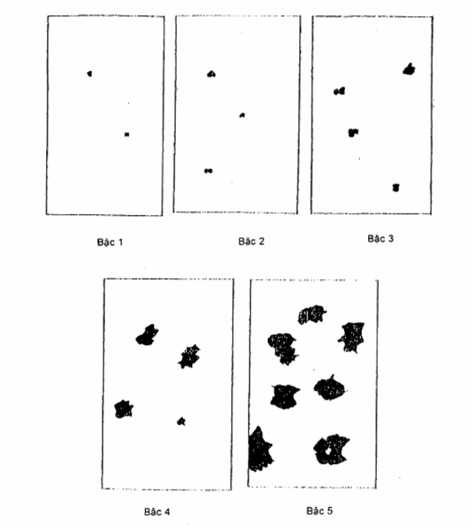 Vùng công thức, bảng hoặc hình trong PDF — trang 3, phần 1
