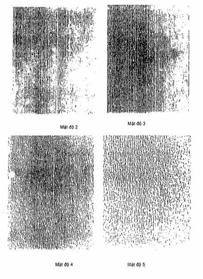 Vùng công thức, bảng hoặc hình trong PDF — trang 3, phần 1