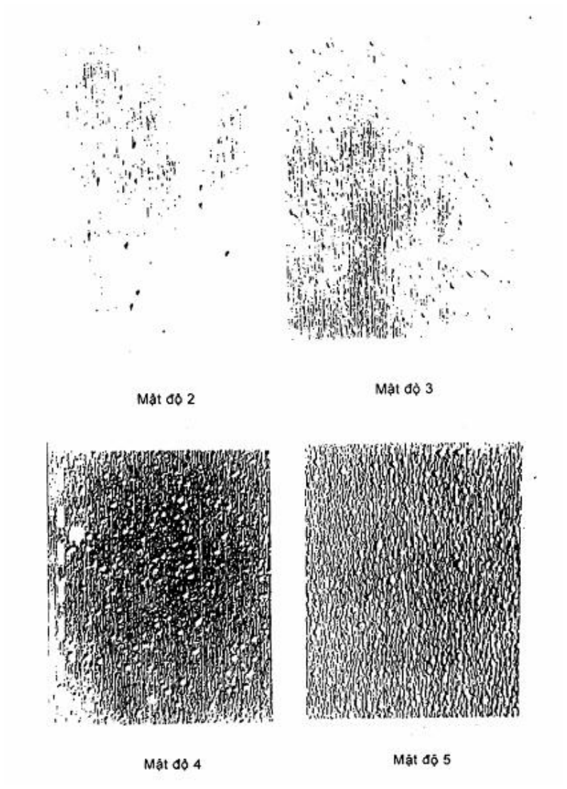 Vùng công thức, bảng hoặc hình trong PDF — trang 4, phần 1