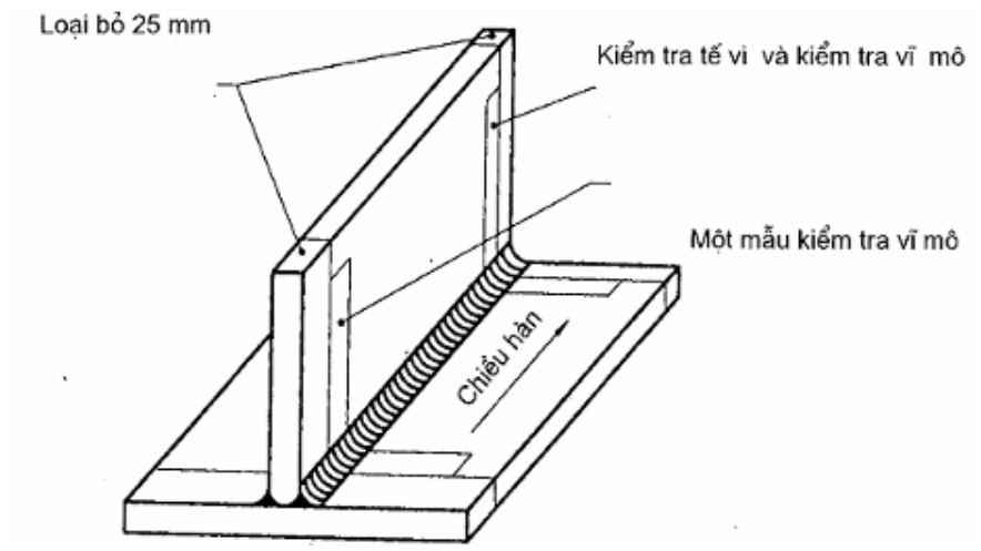 Vùng công thức, bảng hoặc hình trong PDF — trang 10, phần 2