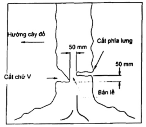 Vùng công thức, bảng hoặc hình trong PDF — trang 15, phần 2