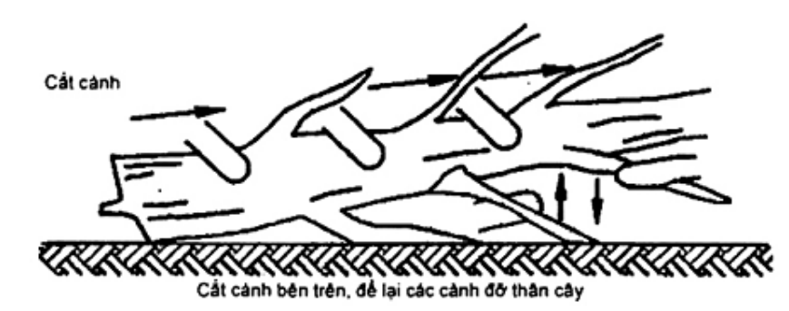 Vùng công thức, bảng hoặc hình trong PDF — trang 15, phần 3