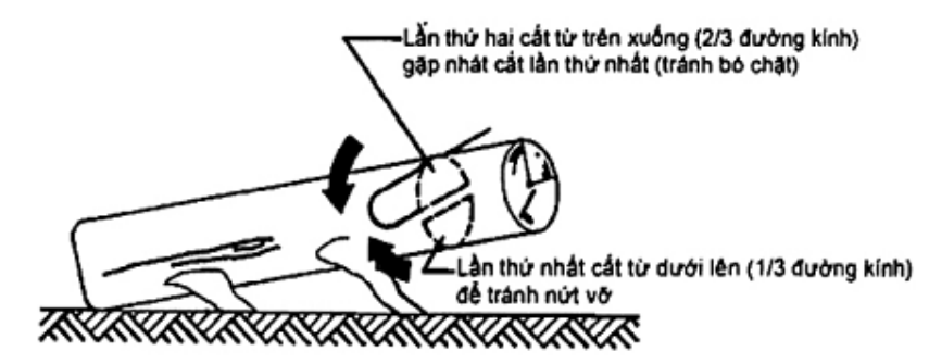 Vùng công thức, bảng hoặc hình trong PDF — trang 16, phần 1
