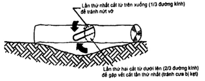 Vùng công thức, bảng hoặc hình trong PDF — trang 16, phần 2