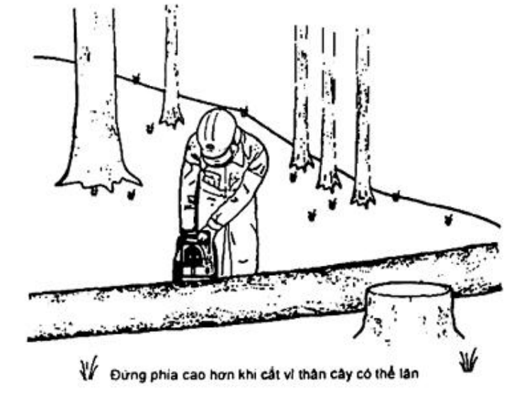 Vùng công thức, bảng hoặc hình trong PDF — trang 16, phần 3